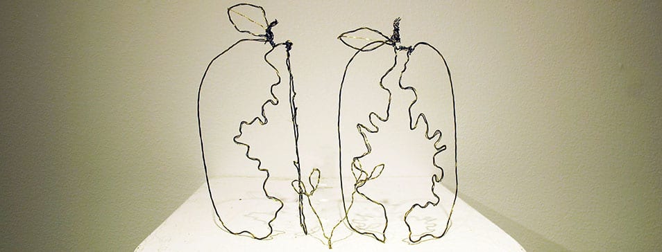 Sculpture Wire Sliced Apple
