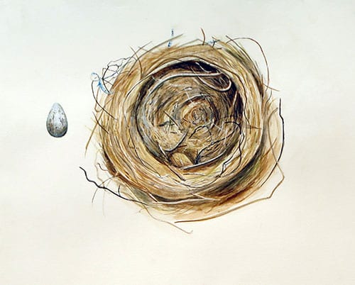 Bird Nest, Nicole Jozwik '20