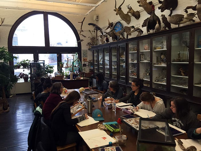 Field Botany class at RISD Nature Lab