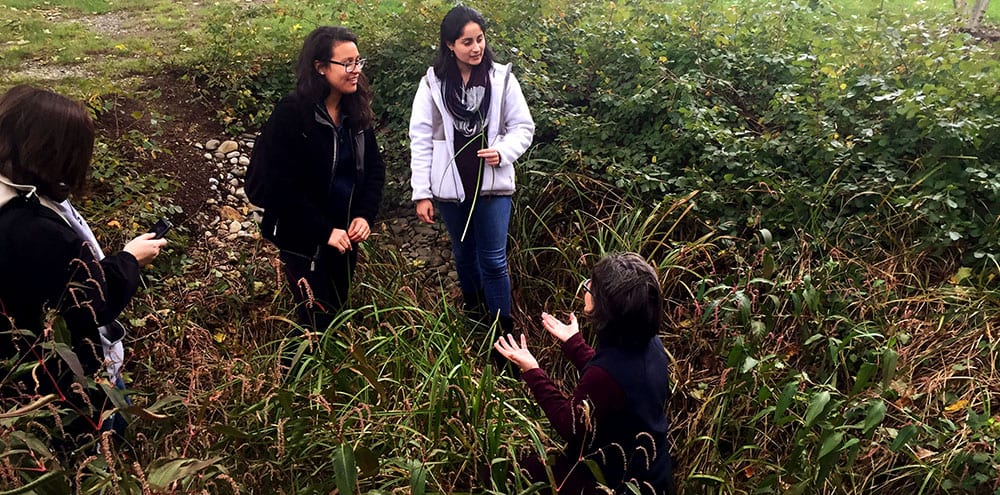 Professor Lynn Curtis with Victoria D'Agostino '20 and Arriana Arroyo '20, Field Botany class observing in PC bioswale