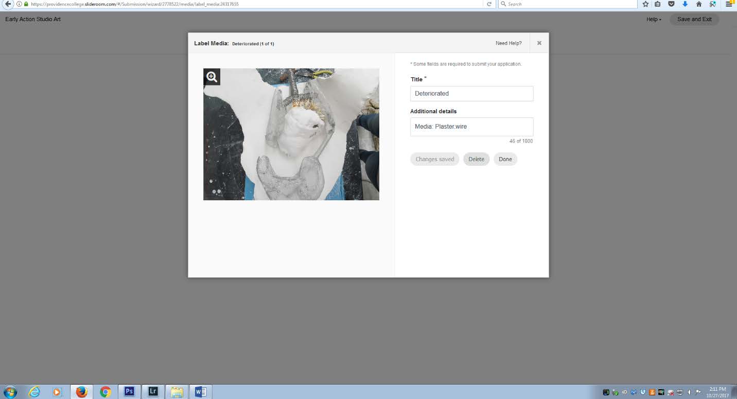 Screenshot showing the uploaded image, and the require Title field, and the Additional Details field, with buttons labeled "Changes Saved", Delete, and Done
