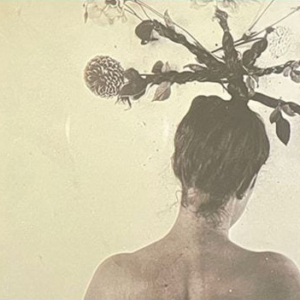 A photo or graphic of a woman, seen from the back, with bare shoulders and things like pine cones in her hair.